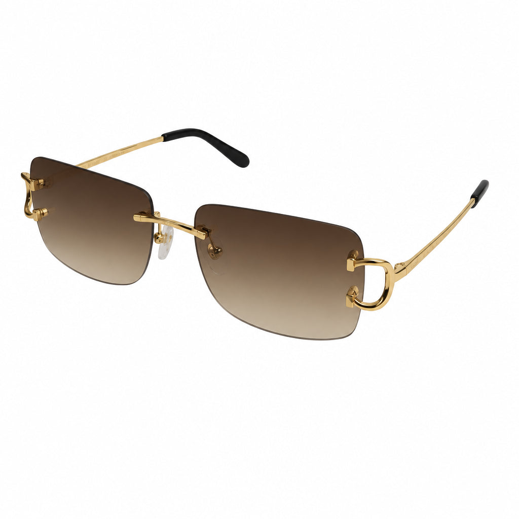 Cartier Rectangle Frame CT0104S Sunglasses