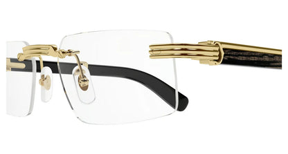Cartier CT0485O