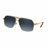 Cartier Lens Glasses